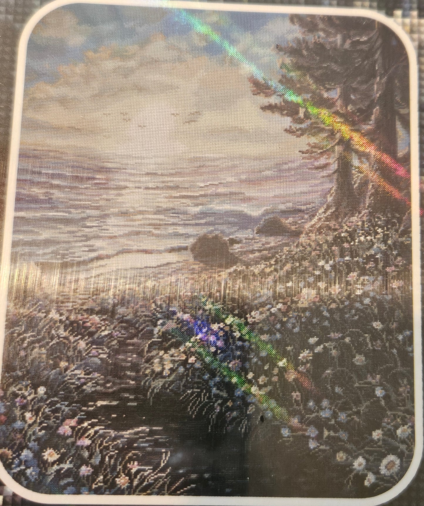 Diamond Art 25 x 40 kit