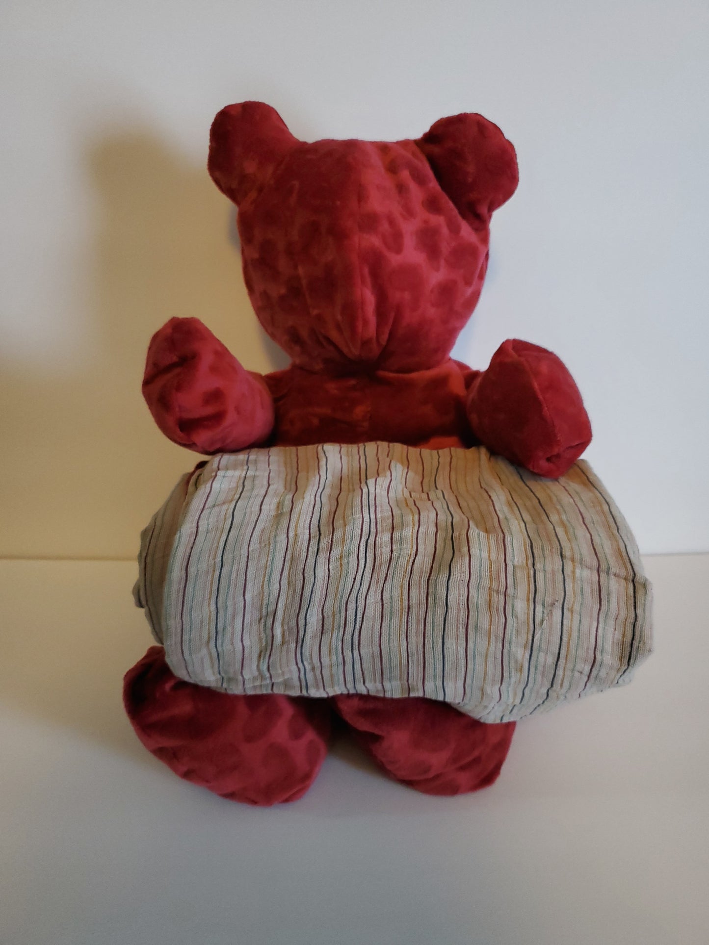 Cuddle Bear Buddles π»