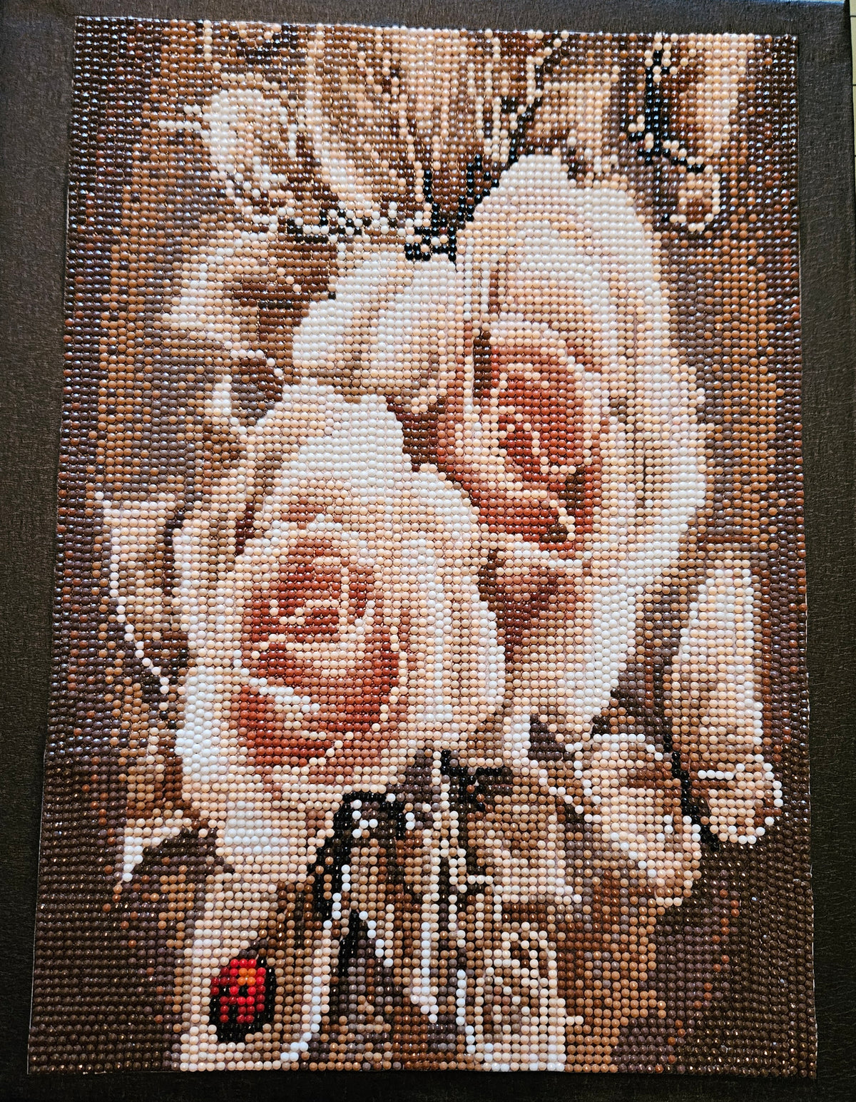 Diamond Art Paintings