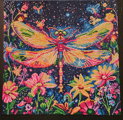 Diamond Art Paintings