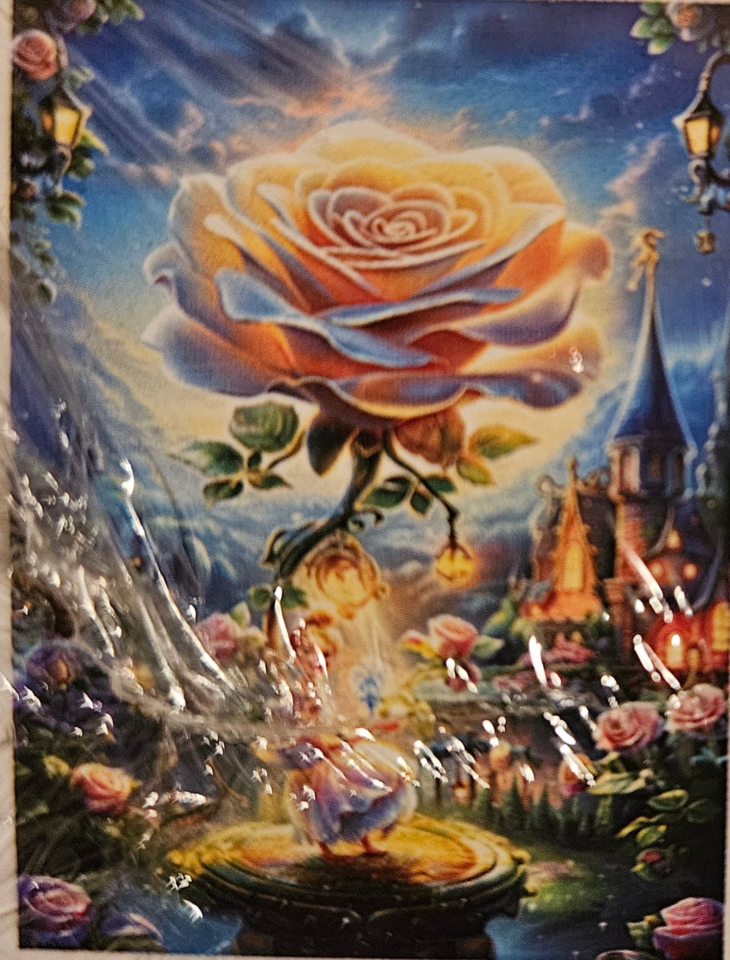 Diamond Art 25 x 40 kit