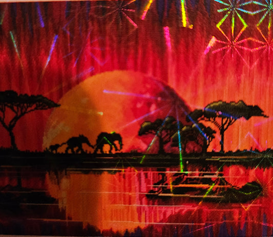 Diamond Art 16 x 24 Kit